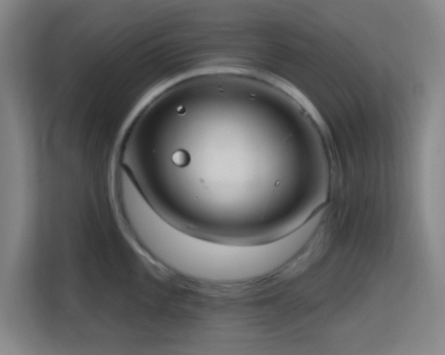 X0000113161101200909111009