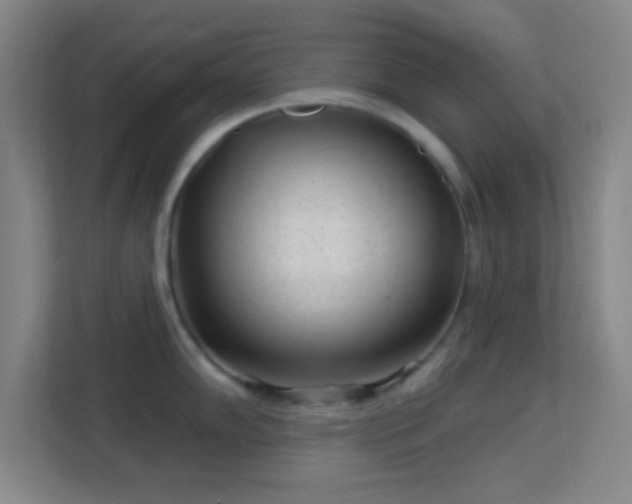 X0000113161102200909111009