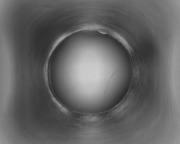 X0000113161103200909111009