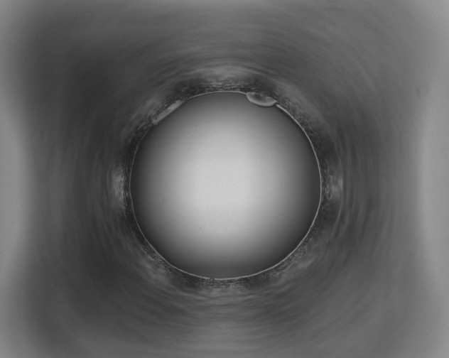 X0000113161108200909111009