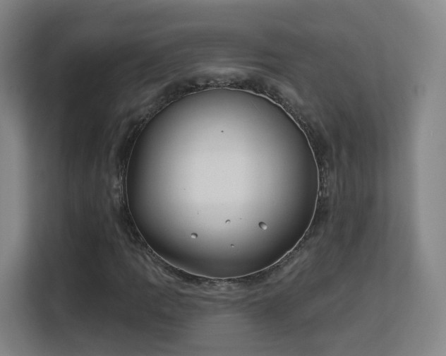 X0000113161109200909111009