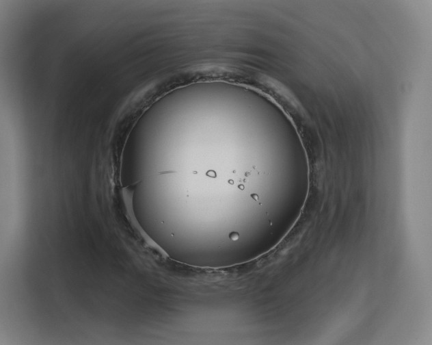 X0000113161111200909111009