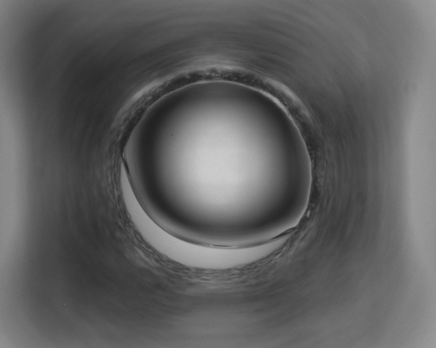 X0000113161112200909111009