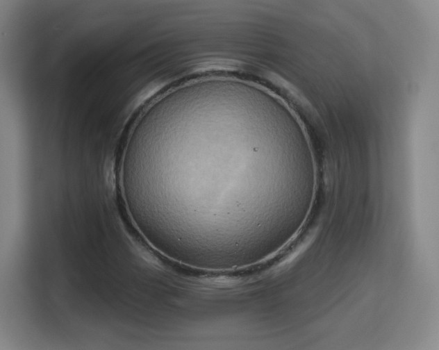 X0000113161113200909111009