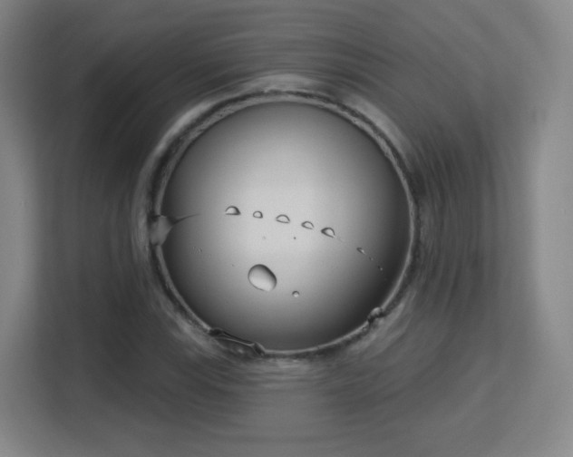 X0000113161115200909111009