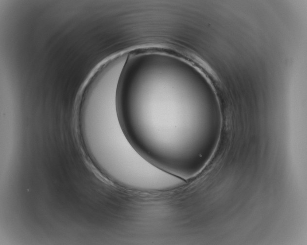 X0000113161116200909111009