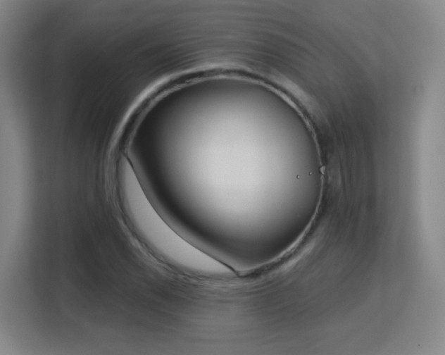 X0000113161118200909111009