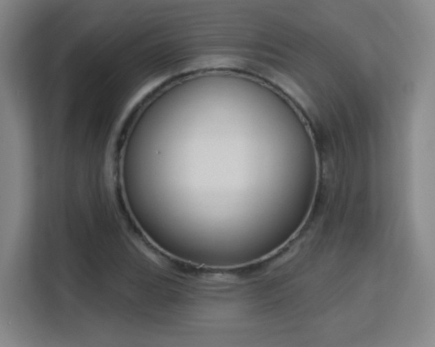 X0000113161119200909111009