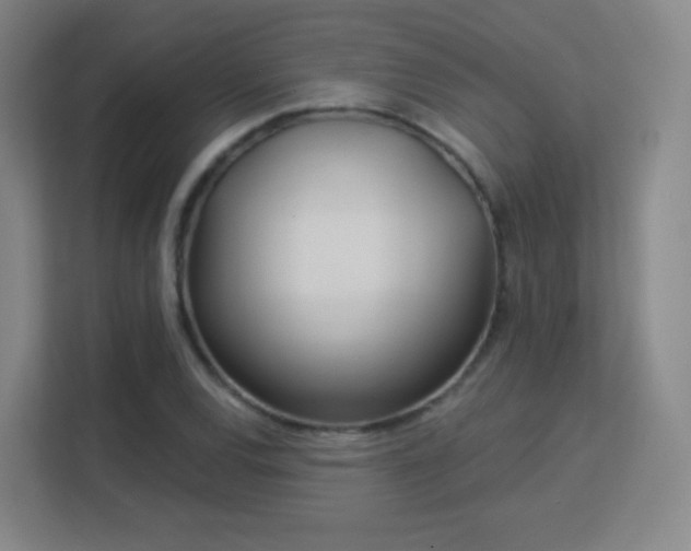 X0000113161120200909111009