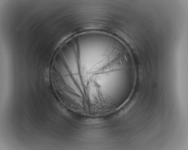 X0000113161121200909111009