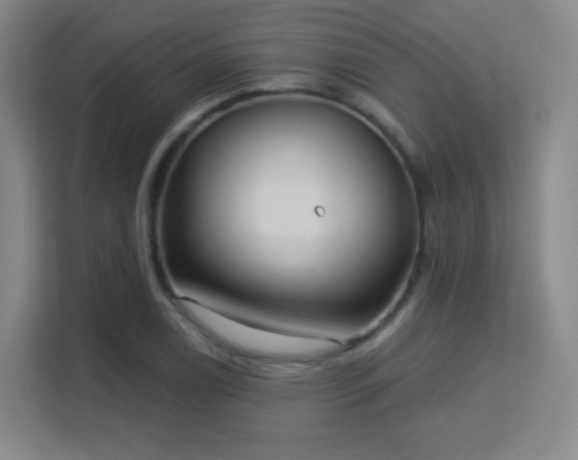 X0000113161122200909111009