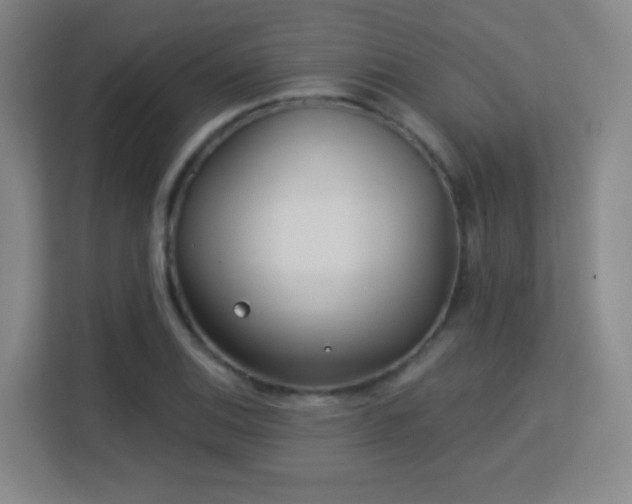 X0000113161124200909111009