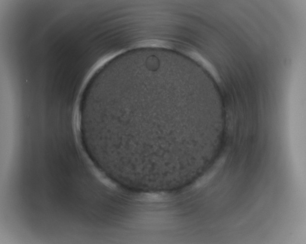 X0000113161125200909111009