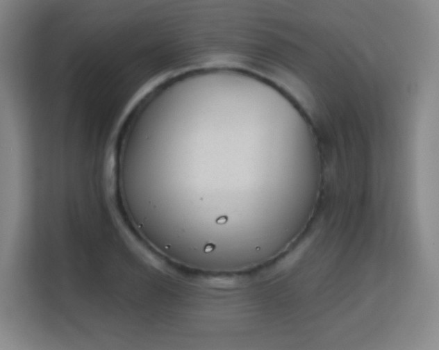 X0000113161126200909111009