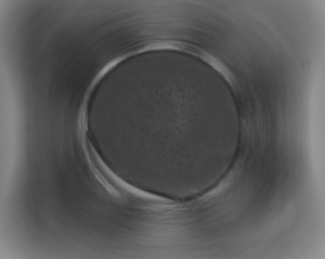 X0000113161127200909111009