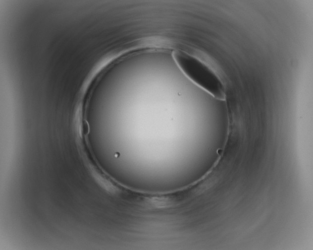 X0000113161128200909111009