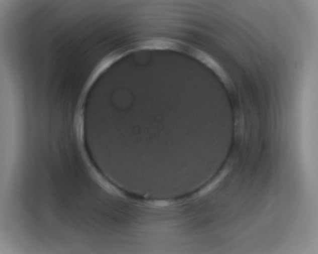 X0000113161130200909111009