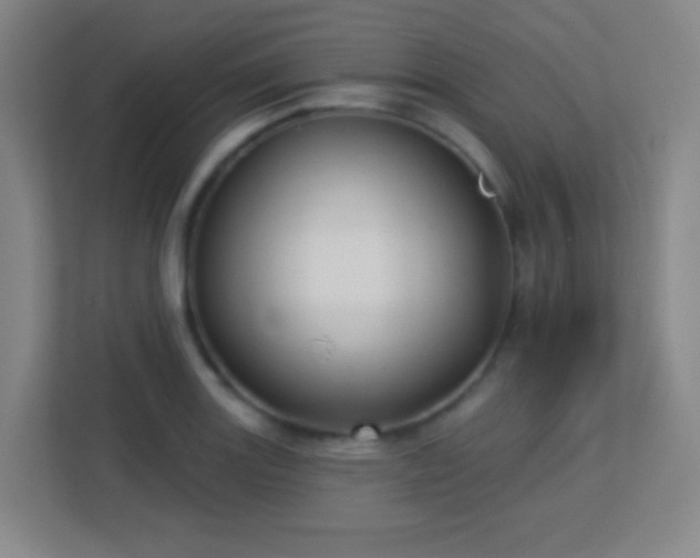 X0000113161131200909111009