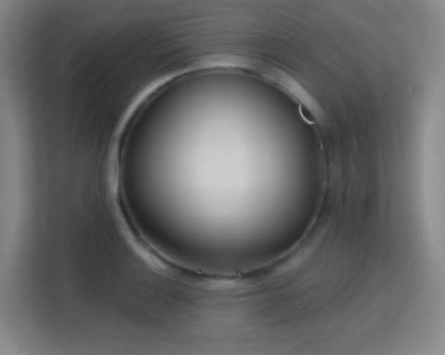 X0000113161132200909111009