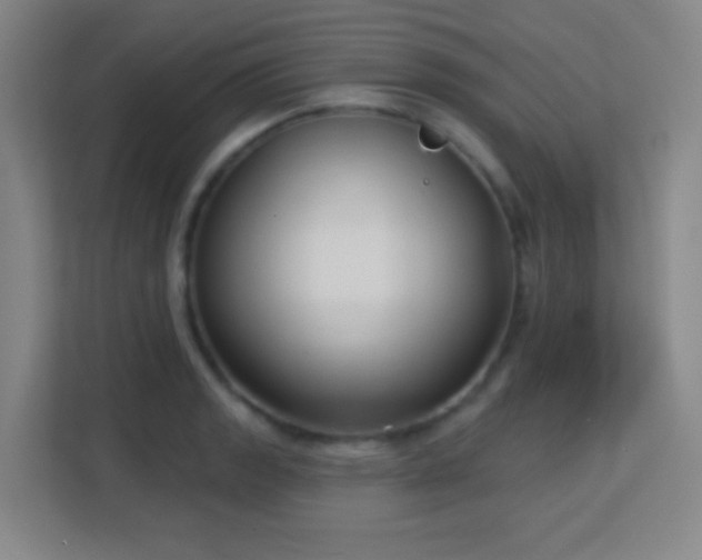 X0000113161133200909111009