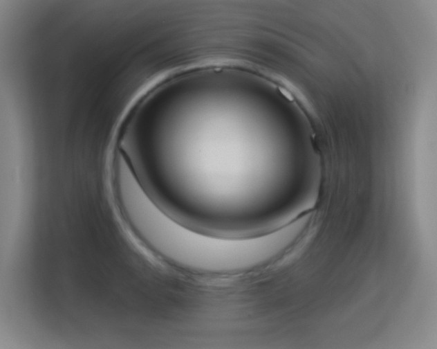 X0000113161134200909111009