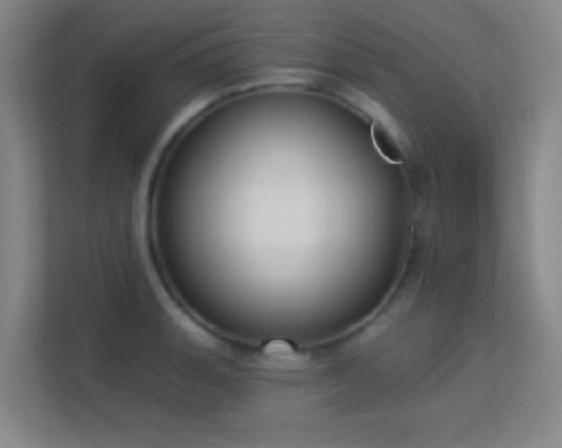 X0000113161135200909111009