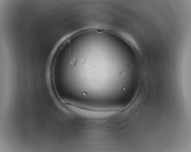 X0000113161136200909111009