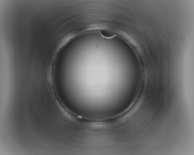 X0000113161137200909111009