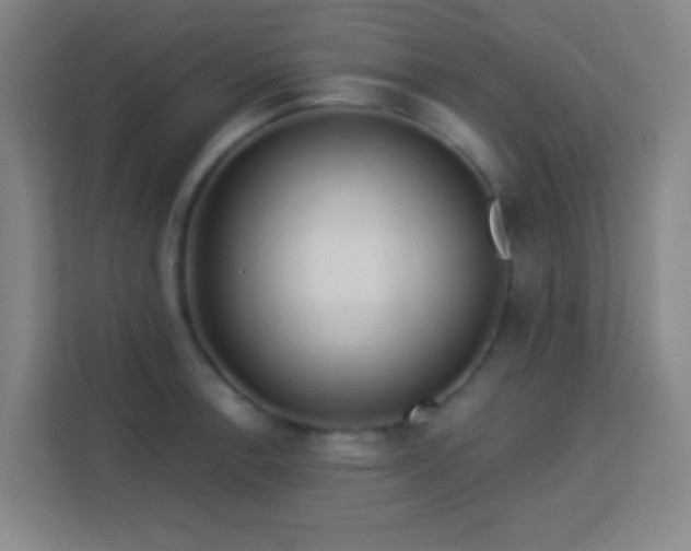 X0000113161138200909111009