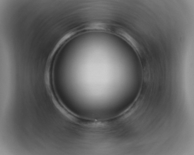 X0000113161139200909111009