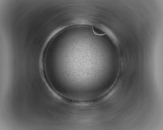 X0000113161141200909111009