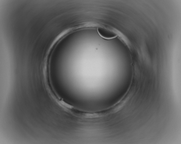 X0000113161142200909111009