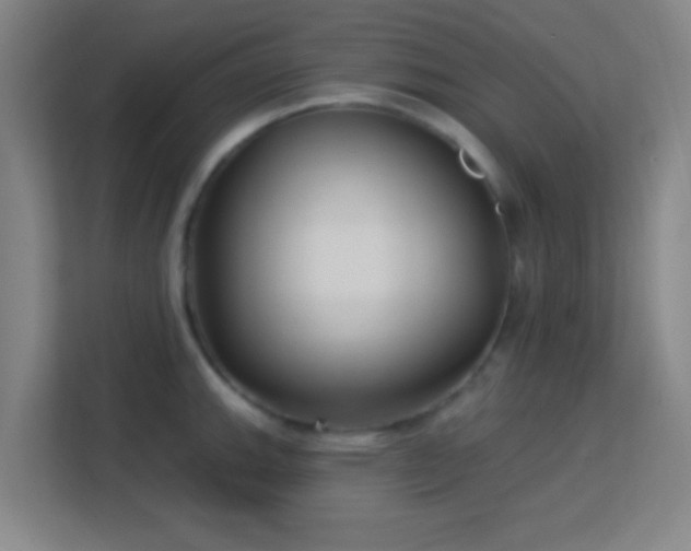 X0000113161143200909111009