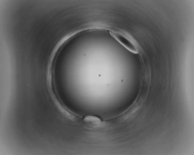 X0000113161144200909111009