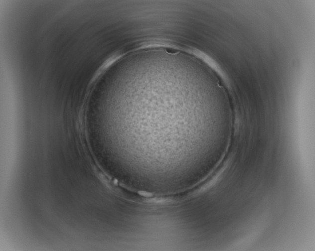 X0000113161145200909111009