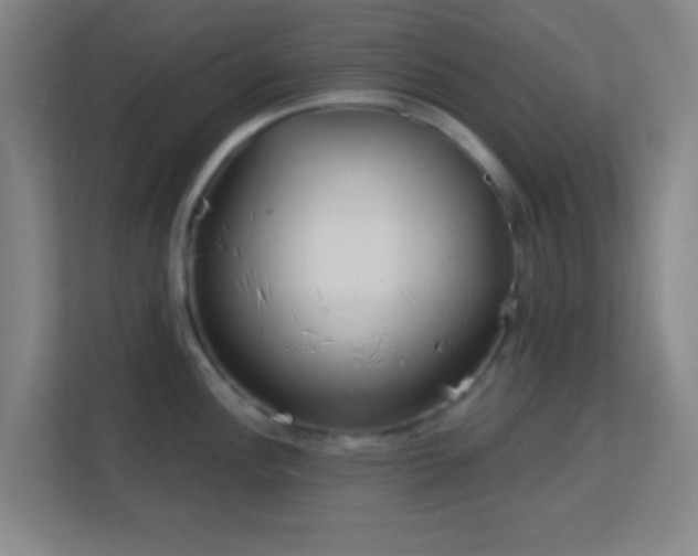 X0000113161148200909111009