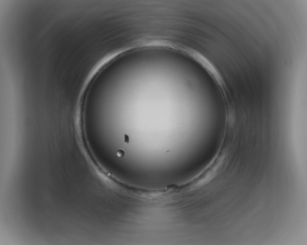 X0000113161149200909111009