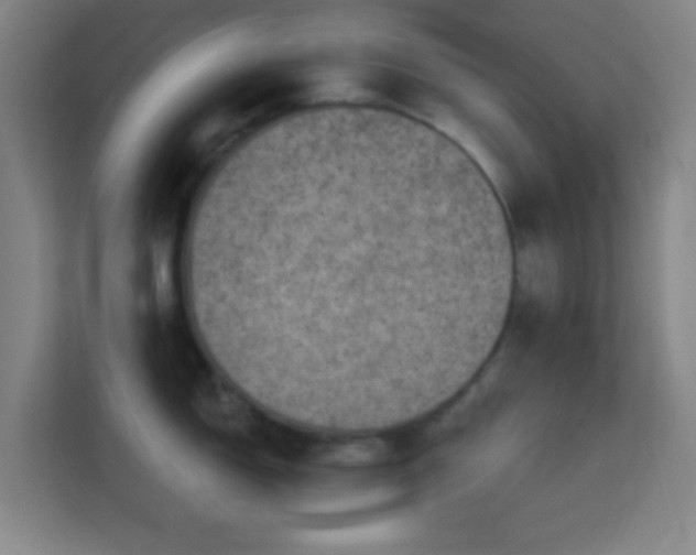 X0000113161150200909111009