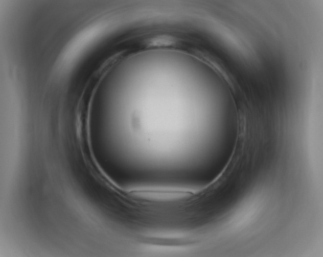 X0000113161151200909111009