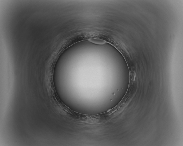 X0000113161153200909111009