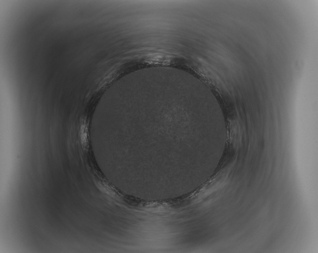 X0000113161154200909111009