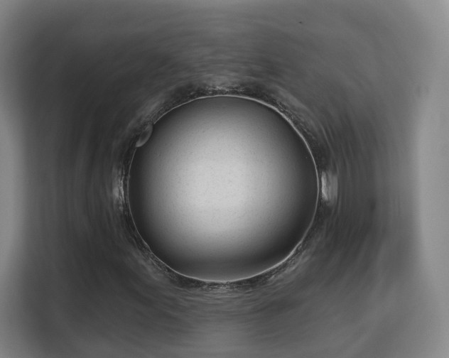 X0000113161155200909111009