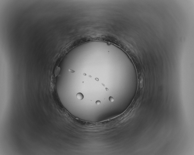 X0000113161156200909111009