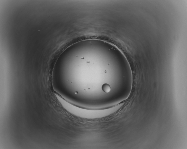 X0000113161157200909111009