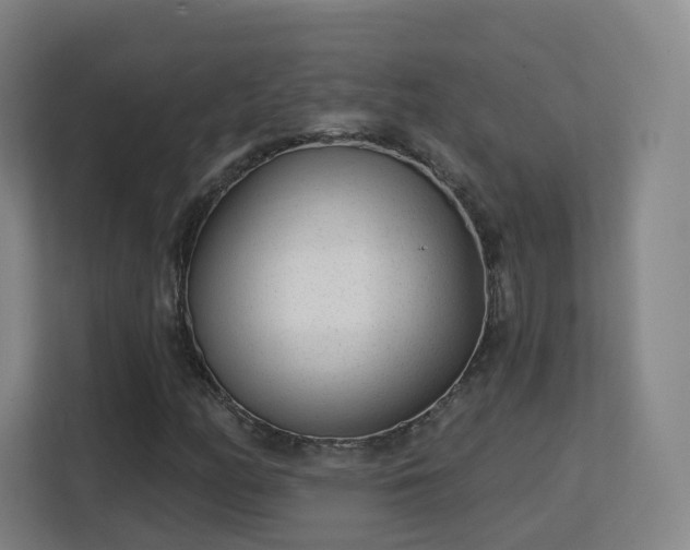 X0000113161158200909111009