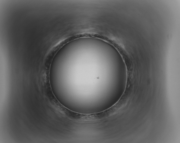 X0000113161159200909111009