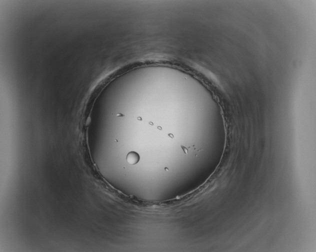 X0000113161160200909111009