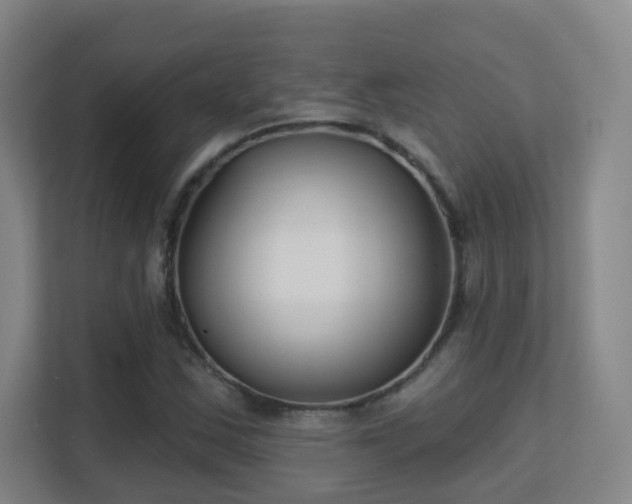 X0000113161163200909111009