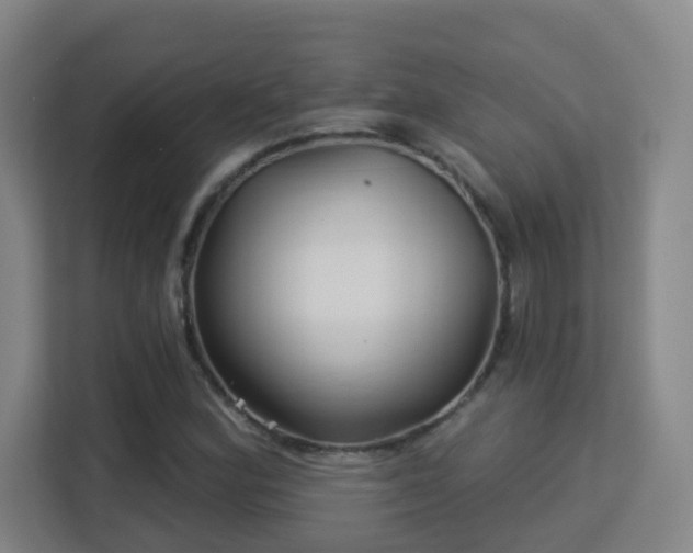 X0000113161164200909111008