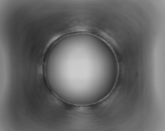 X0000113161166200909111008